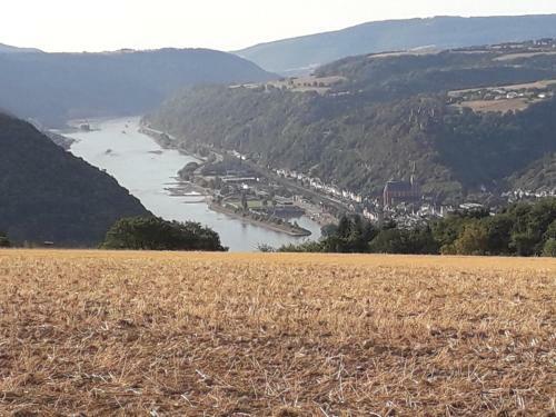 Apartamento Ferienwohnung 554 - Urbar, Vis-�-vis Der Loreley