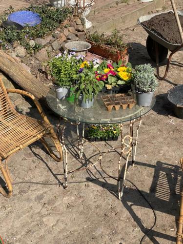 Albergue Spurensucher Quartier