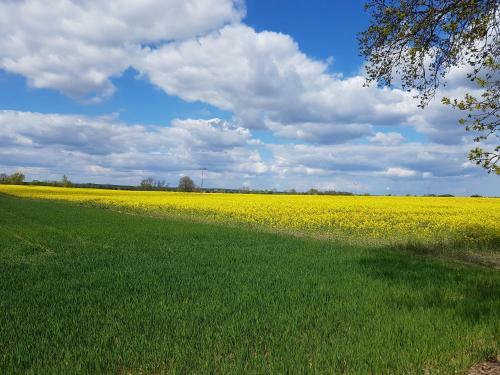 Apartamento Inselhof Usedom