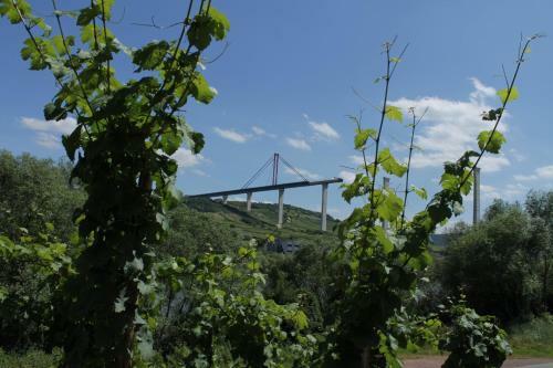 Apartamento 'ferienhaus Mosel'