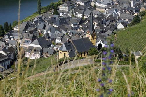Ferienhaus Moselblick