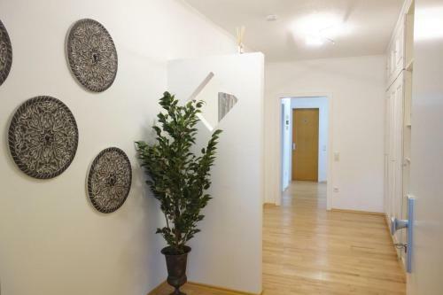 Apartamento Ferienwohnung Solling Niedersachsen