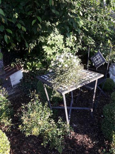 Apartamento Ferienwohnung Gogelhopf