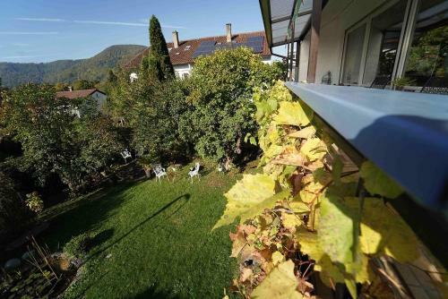 Apartamento Ferienwohnung Im Haus Lotus Mit Gro�em Balkon Und Garten