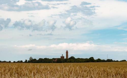 Ostseehaus Am Naturstrand - Ostseeblick