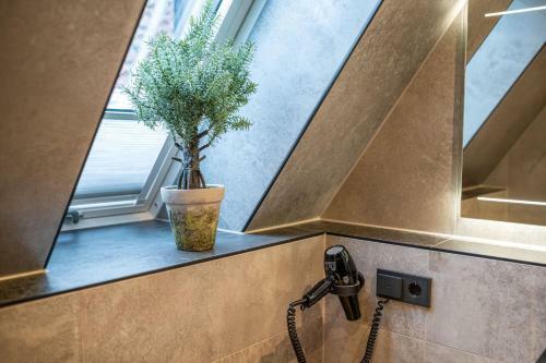 Boutique Hotel Melchers