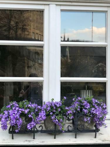 Apartamento B�rgerhaus Langenberg
