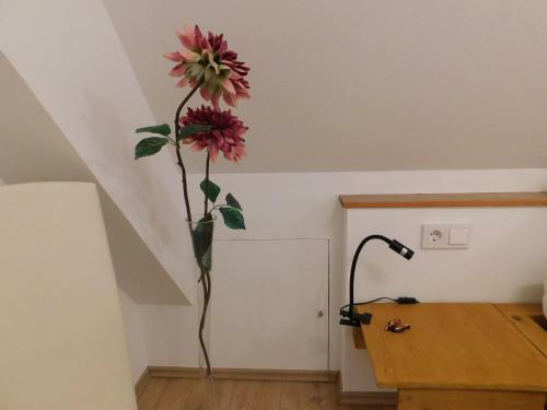 Apartamentos Alte Schreinerei