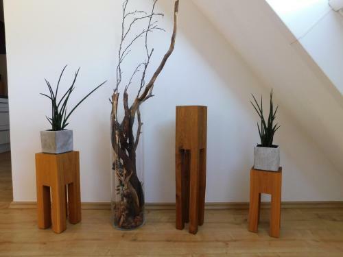 Apartamentos Alte Schreinerei