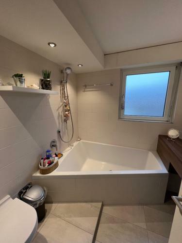 Unique: Luxus Apartment Mit Netflix In Villingen