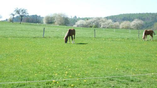 Apartamento Ons Stulpje Schoutsen