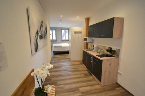Apartamento Designer Appartements Volkach