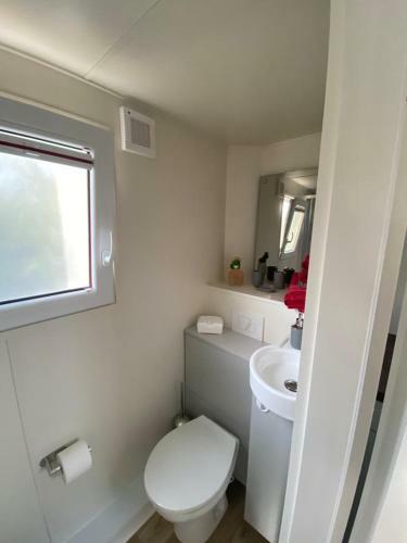 Tinyhaus L�wenzahn