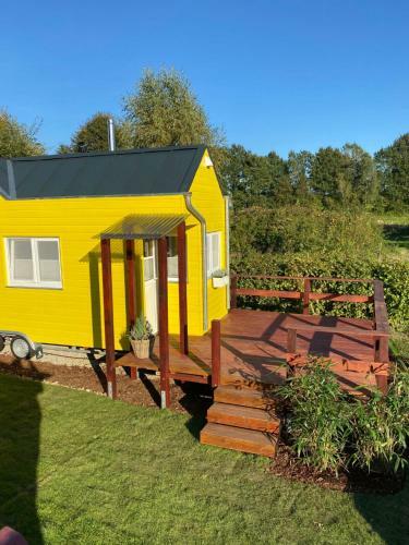 Tinyhaus L�wenzahn