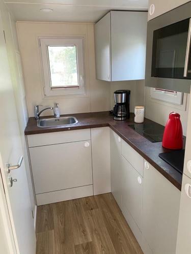 Tinyhaus L�wenzahn