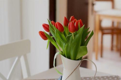 Apartamento Haus S�derdeich