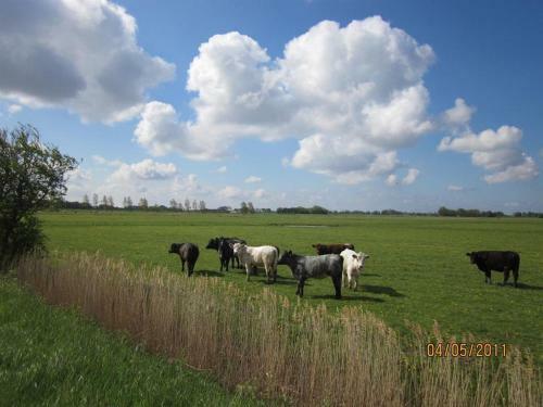Apartamento Landhaus Op De Warft