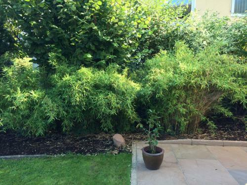 Apartamento Appartement Rosengarten