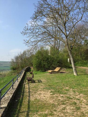 Apartamentos Alte Schule Wachenheim Im Zellertal