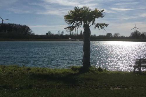 Ferienhaus Am See