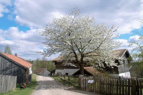 Apartamento Ferienwohnung Seengl�ck