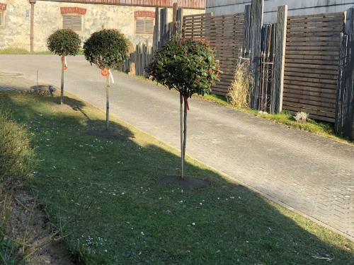 Seeh�uschen - Waging Tettenhausen