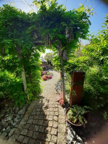 Apartamento Ferienhaus Annodazumol