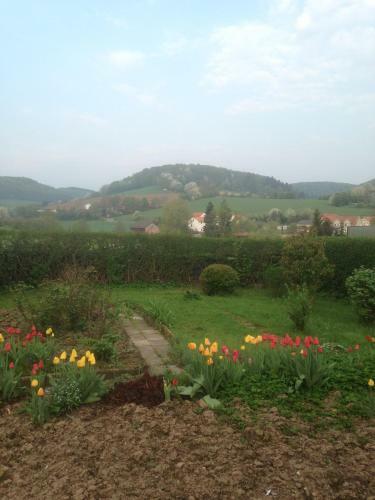 Apartamento Josefine