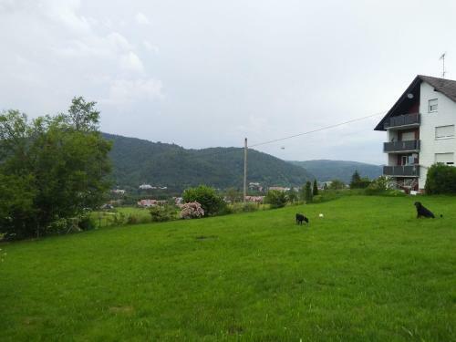 Apartamento Ferienwohnung Am Eichb�hl