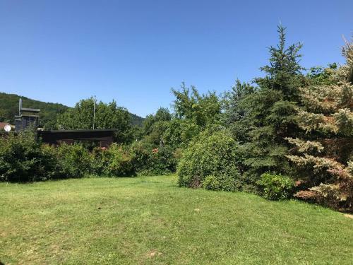 Lili�s Bungalow Auf Der Halbinsel Scheid