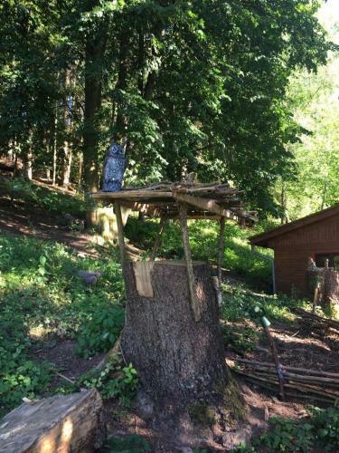 Hostal Waldnest Odenwald
