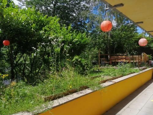 Apartamento Ferienwohnung Pusteblume