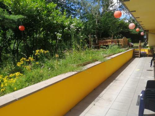 Apartamento Ferienwohnung Pusteblume