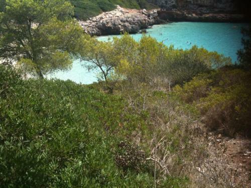 Villa Finca Son Blat