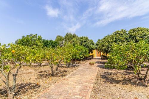 Villa Finca Son Blat
