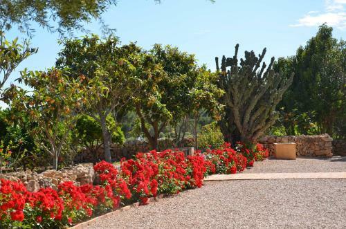 Villa Finca Son Blat