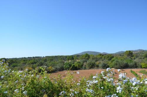 Villa Finca Son Blat