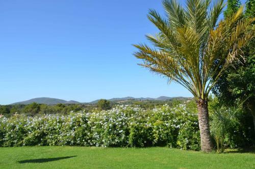 Villa Finca Son Blat