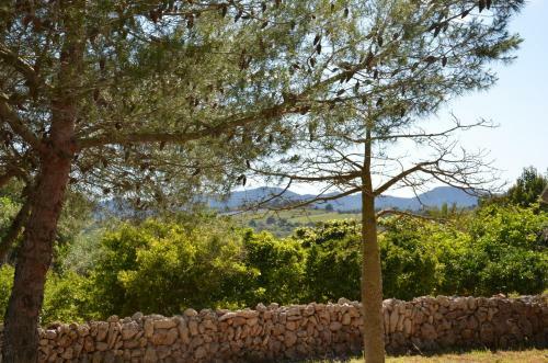 Villa Finca Son Blat