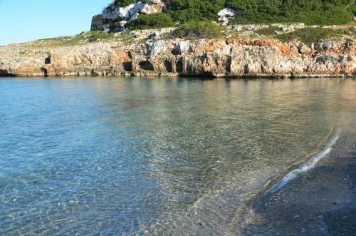 Villa Finca Son Blat