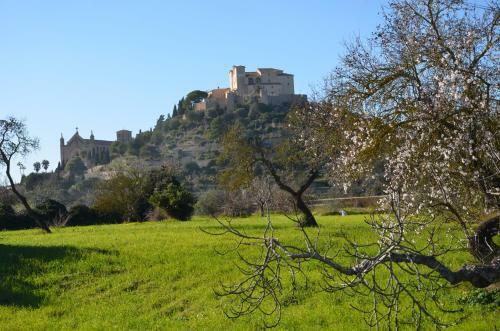 Villa Finca Son Blat