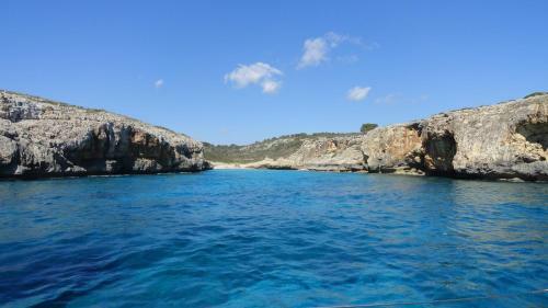 Villa Finca Son Blat