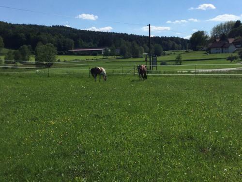 Apartamento Haus Am Treffenbach