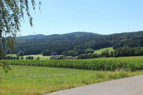 Apartamento Villa Weitblick