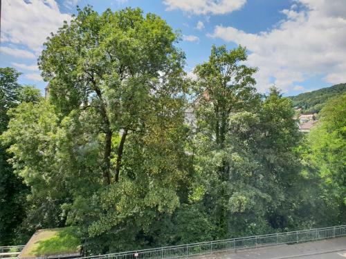 Apartamento Waldshut-zentrum