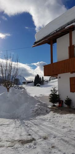 Apartamento Am Alten Skihang