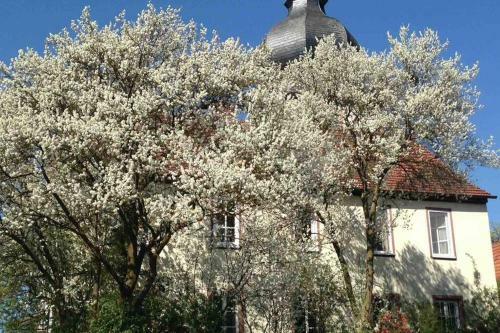 Liebevolles, Altes Schulhaus Im Vintage Stil