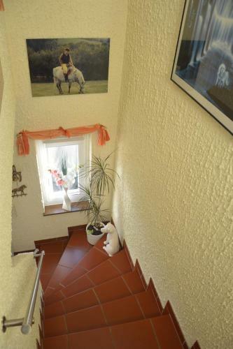 Apartamento Ferienwohnung Auszeit Waxweiler