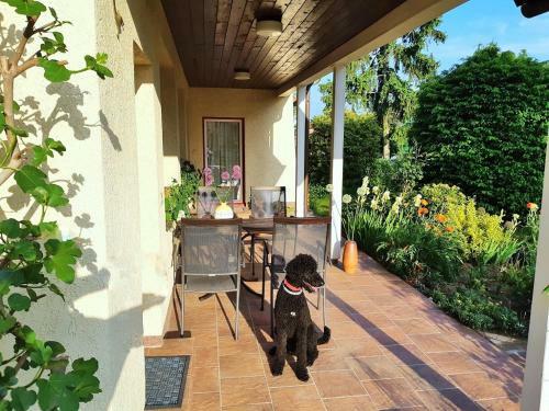 Apartamento Ferienwohnung Petronela