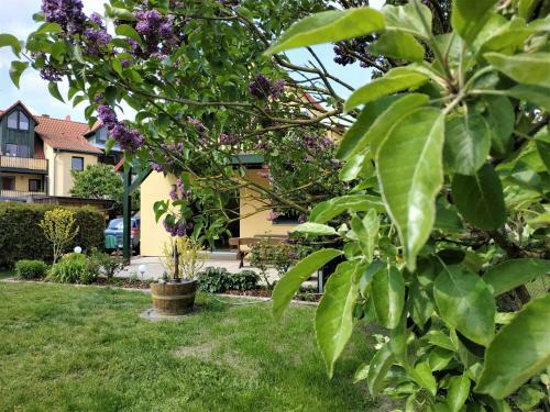 Apartamento Ferienwohnungen Am Seeufer 11